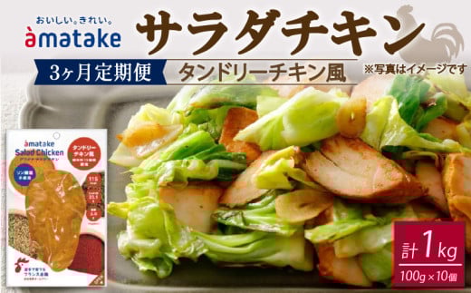 サラダチキン タンドリーチキン風 100g×10個 【3回(3ヶ月定期便)】