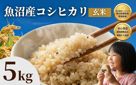 先行予約 魚沼 コシヒカリ玄米 5kg | 新潟県 令和8年 玄米