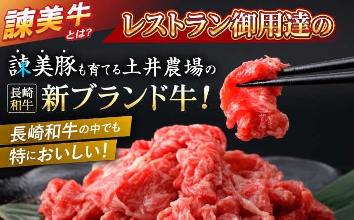 長崎和牛 牛肉 ぎゅうにく 和牛 牛 肉 にく 国産 国産牛 切り落とし 切り落し 切りおとし 炒め物 しゃぶしゃぶ 牛丼