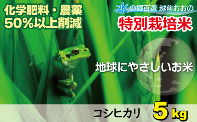 【令和5年産】こしひかり（福井県大野市産） 福井県特別栽培米 5kg 【白米】[A-003005]