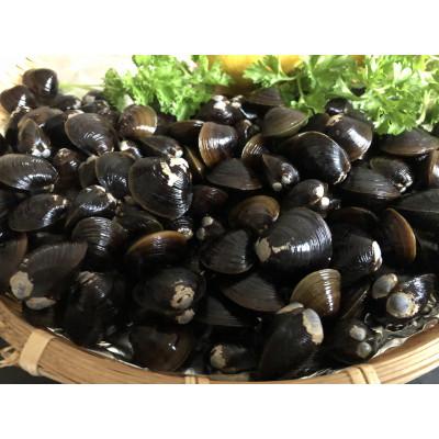 ふるさと納税 網走市 【毎月定期便】かにやがお勧めの人気の海鮮グルメ定期便 網走自慢の逸品が届く 全3回 |  | 02