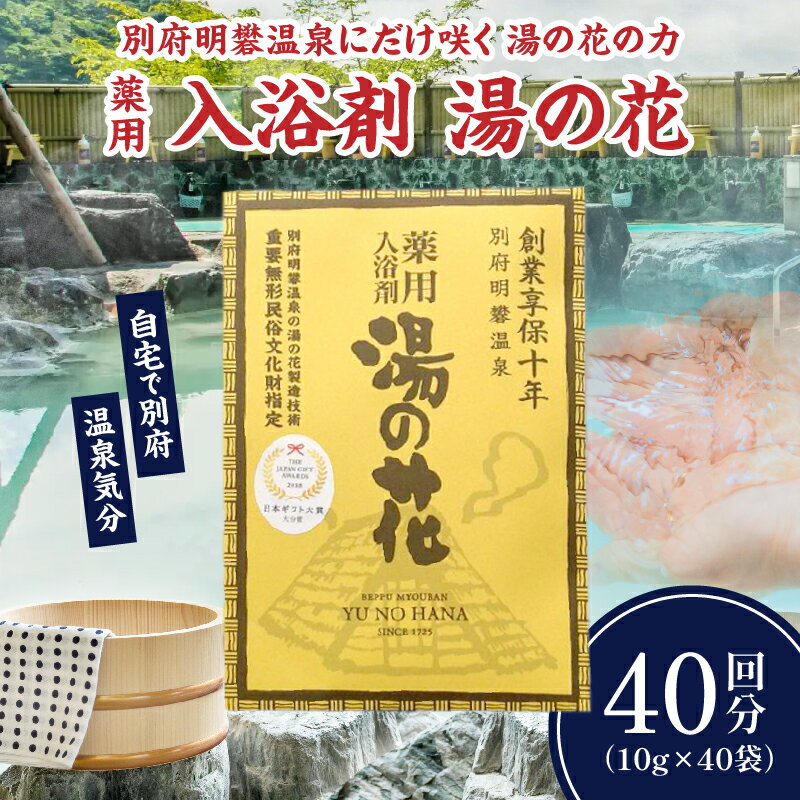 【ふるさと納税】 薬用 入浴剤 湯の花 10g 40回分 日用品 雑貨 バスパウダー バス用品 お風呂 バスタイム 小分け ティーバッグ おすそ分け 明礬温泉 天然温泉 リラックス 癒し おすすめ 温泉気分 冷え性対策 お取り寄せ 国産 大分県 別府市 送料無料