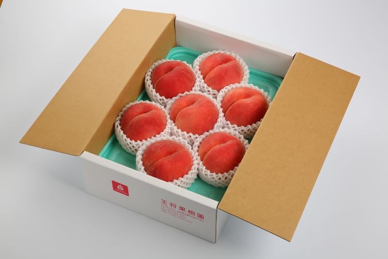 
                  08-03-012　かたいもも(白桃)2kg
                