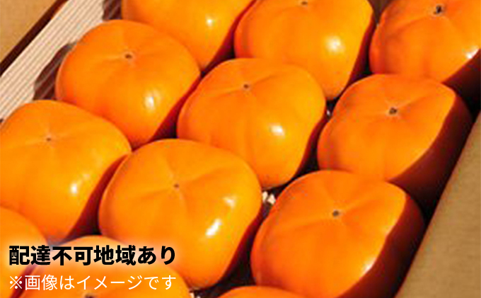 長生き次郎柿「長寿郎（ちょうじゅろう）」2L～Mサイズ 2.5kg 10～16玉入り 
柿 かき 果物 くだもの フルーツ 旬の果物 旬のフルーツ 秋の味覚 次郎柿 デザート 静岡 静岡県 高級 浜松市【配送不可：離島】