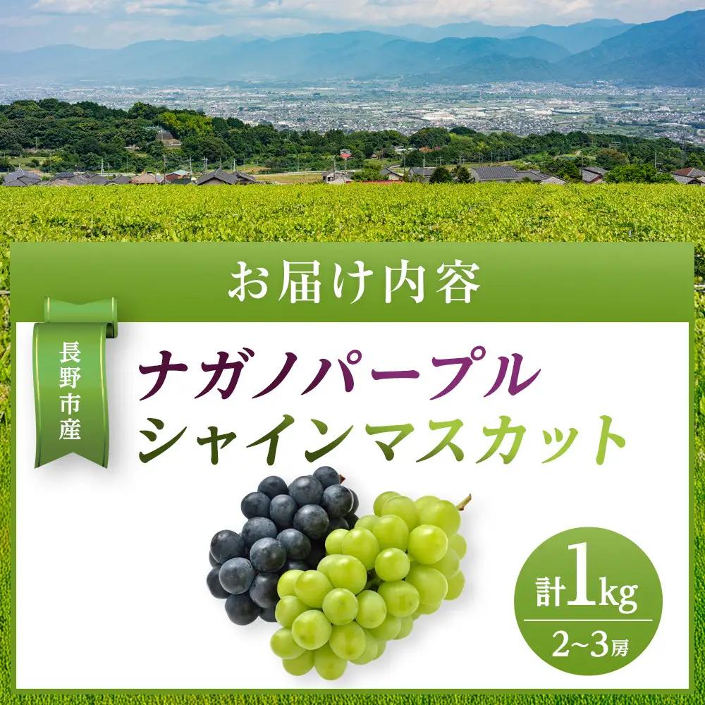 金オ岡村青果株式会社　長野市産 ナガノパープル＆シャインマスカット詰合せ１kg【2026年9月以降出荷分】 | ナガノパープル シャインマスカット 食べ比べ