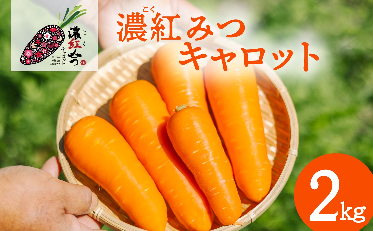 
                  にんじん 濃紅みつキャロット 2kg 春にんじん 無選別 人参 ニンジン carrot
                