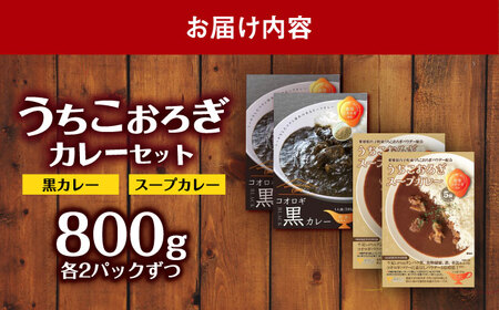 うちこおろぎスープカレー2個と定番コオロギ黒カレー2個セット BKBN003
