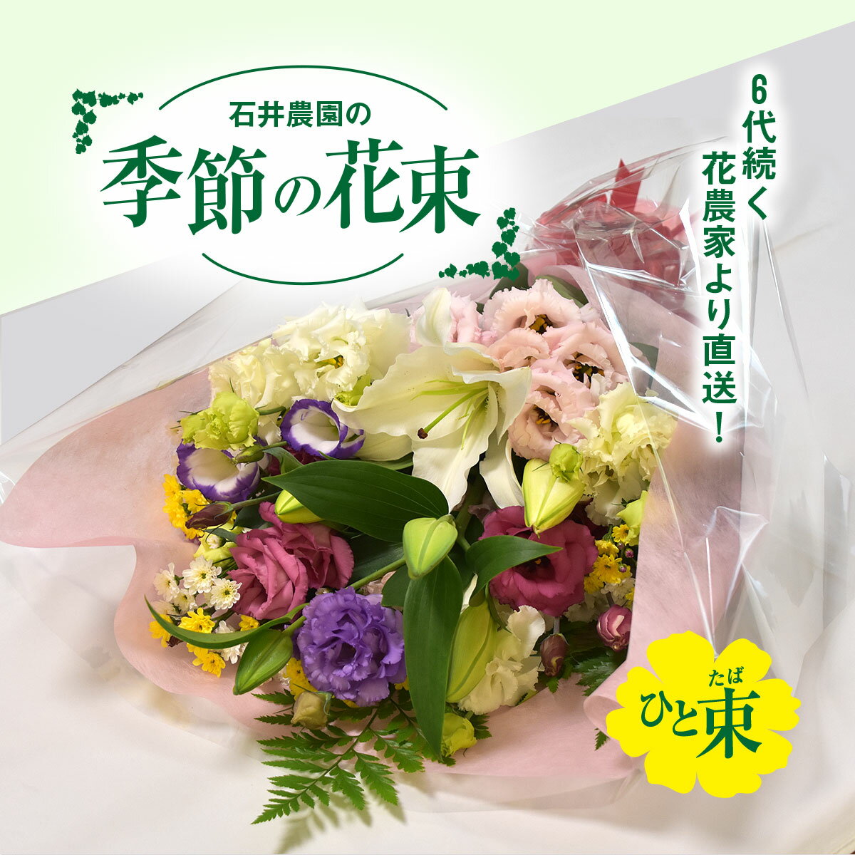 【ふるさと納税】【先行予約・2026年11月より順次発送】6代続く花農家より直送! 石井農園の「季節の花束」 SMCM001 / ふるさと納税 花 花束 季節 旬 お祝い フラワー ギフト 母の日 誕生日 記念日 千葉県 山武市