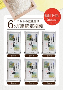 SH0065　【令和8年産 新米予約】≪6回定期便≫［無洗米］はえぬき　5kg×6回(計30kg) KN