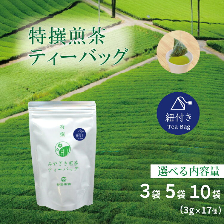【ふるさと納税】 お茶 ティーバッグ 特撰 みやざき煎茶 紐付き 選べる 内容量 3袋〜10袋 セット [谷岩茶舗 宮崎県 日向市 452061629] ティーパック 茶 茶葉 緑茶 新茶 お茶の葉