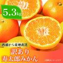 【ふるさと納税】 訳あり 寿太郎 みかん 約5.3kg 蜜柑 柑橘 オレンジ 果物