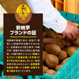 n222 ＜先行予約受付中！2024年10月中旬より順次発送予定＞種子島産 安納芋(3kg)国産 安納芋 本場 種子島 芋 イモ いも さつまいも さつま芋 安納いも 野菜【種子島安納株式会社】
