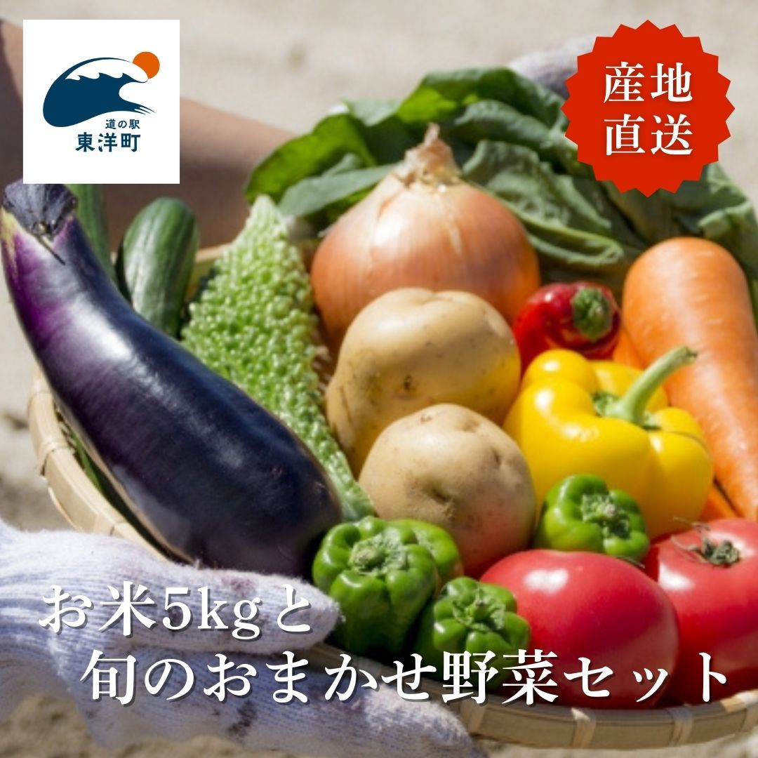 【ふるさと納税】MT002　お米5kgと旬の野菜の詰め合わせ 道の駅東洋町おまかせセット 季節の野菜 米 おまかせ