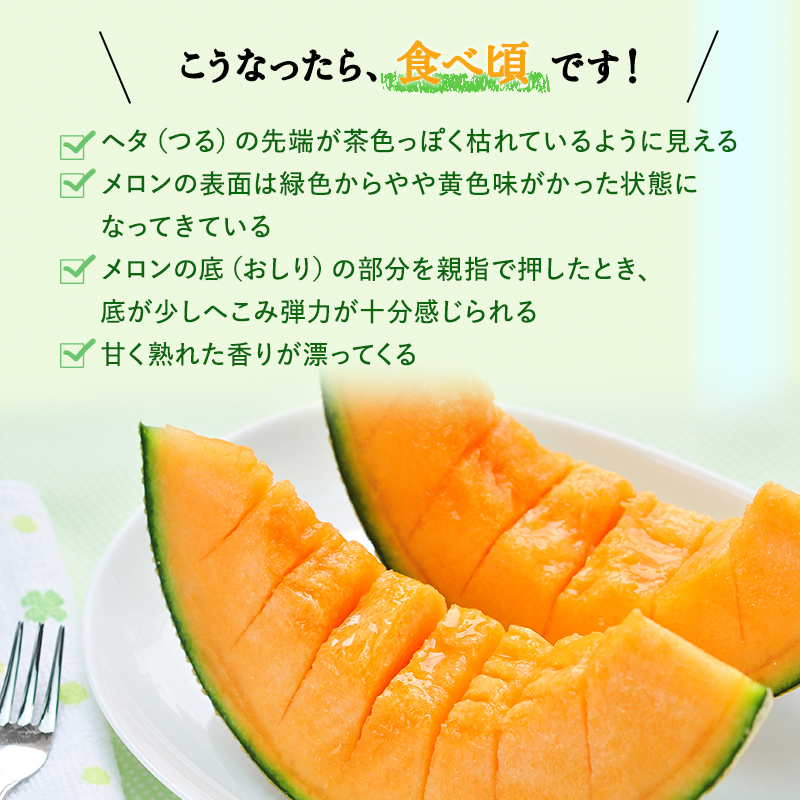 【北海道上富良野町産】「ふらのメロン」（大玉・秀品）　1玉							
