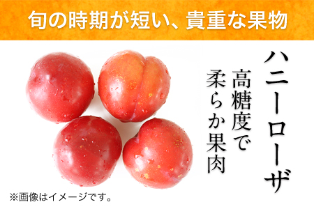 糖度17度の甘さ♪ハニーローザアイスクリーム 120ml×8個《30日以内に出荷予定(土日祝除く)》 熊本県玉名郡玉東町 すもも ハニーローザ アイス ぷらっとぎょくとう