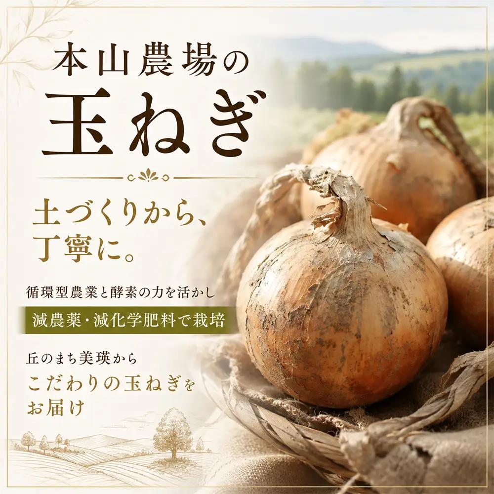野菜定期便 4回便【令和9年産先行予約】本山農場の野菜定期便（小）野菜 トマトジュース ソース セット