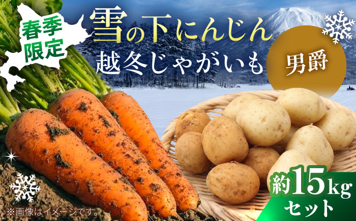 【2027年3月下旬以降順次発送】 雪の下にんじんと越冬じゃがいもセット 計15kg（男爵）| 野菜セット 野菜 セット にんじん じゃがいも  先行予約 | 道の駅 真狩フラワーセンター [BPAM036]