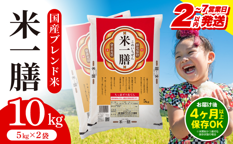 【2～7営業日以内に発送予定】国産ブレンド米 「米一膳」10kg お米 米 ご飯 炭水化物 主食 精米