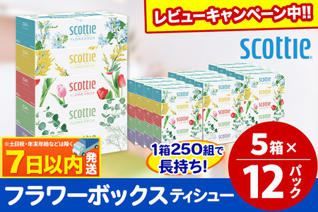 ティッシュペーパー スコッティ フラワーボックス250組 60箱(5箱×12パック) ティッシュ 日用品 最短翌日発送【レビューキャンペーン中】