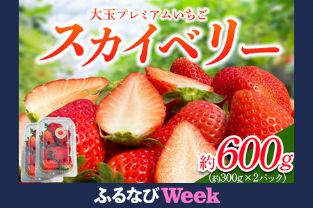 【ふるなびWEEK対象】[先行予約] プレミアムいちご「スカイベリー 2パック」計約600g [2026年1月中旬から順次発送]｜スカイベリー いちご イチゴ 苺 果物 フルーツ 日光産 栃木県産 期間限定 数量限定 FN-Limited-PR [0675f]
