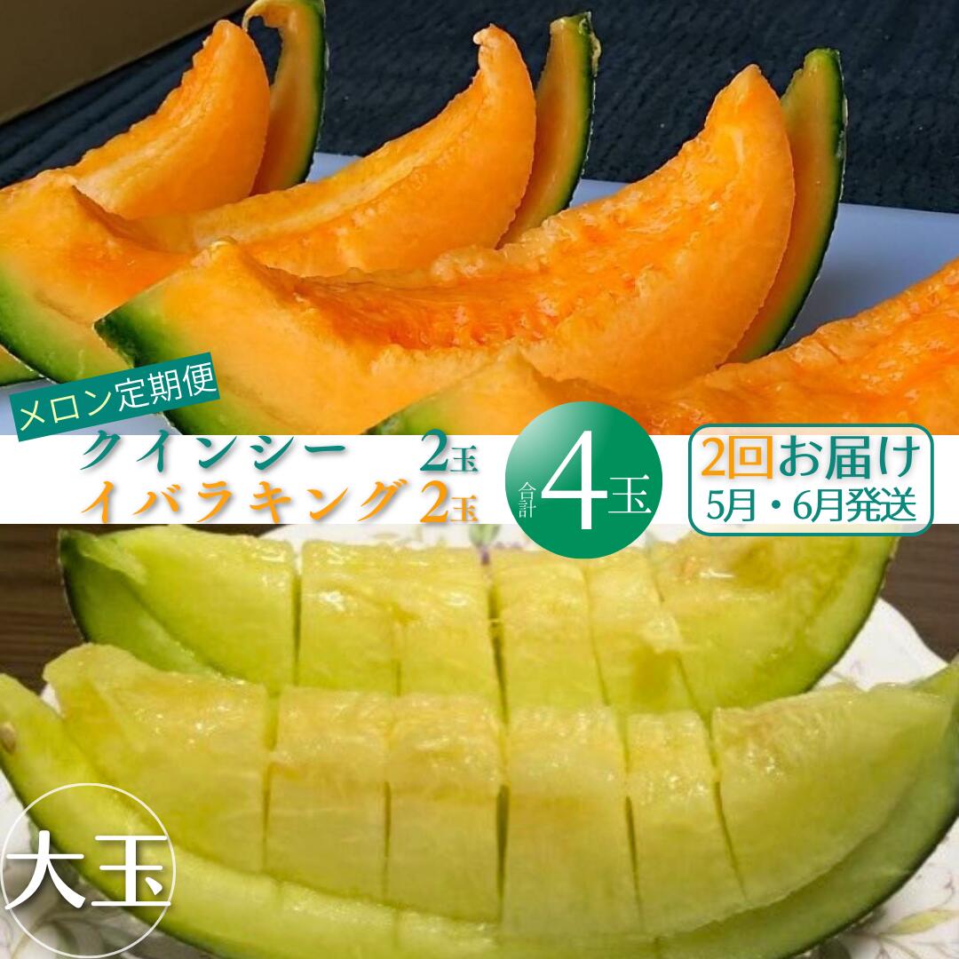 【ふるさと納税】山一ファームの メロン『 2ヵ月 定期便 』5月クインシー2玉・6月イバラキング2玉 茨城 鉾田 フルーツ 旬 プレゼント 贈り物 甘い ヘルシースイーツ 産地直送 農業王国 赤肉 青肉 緑肉