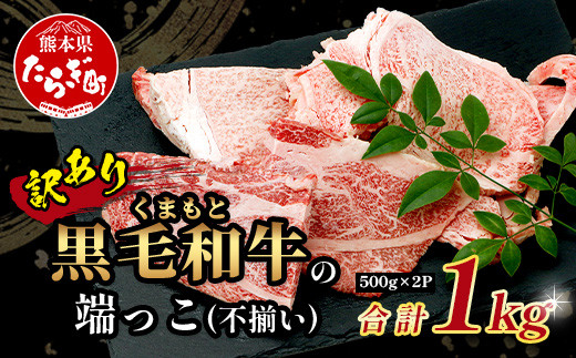 12月発送【訳あり】くまもと黒毛和牛 の 端っこ (不揃い) 切り落とし 切れ端 1kg 本場 熊本県 ブランド 牛 黒毛 和牛 上質 国産 牛肉 熊本県 大容量 冷凍 高級 113-0529-12