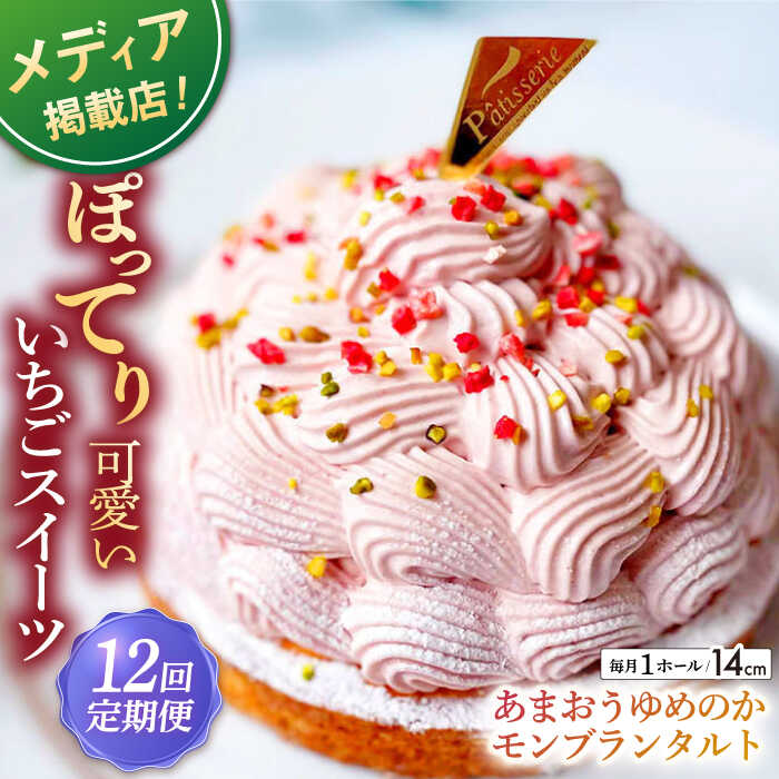 【ふるさと納税】【全12回定期便】あまおうゆめのかモンブラン 1ホール(14cm)【心優-CotoyuSweets-】[KAA517]