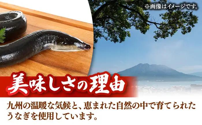 全3回定期便 特大！ 鹿児島産うなぎ 蒲焼2尾セット 桂川町/山水商事 [ADAH012] ウナギ 鰻 うなぎセット 特大鰻 定期便 特大