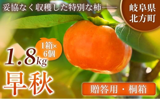 【贈答用・桐箱】 早秋 柿 ( 6個 / 1.8kg ) 1箱 先行予約 令和8年10月中旬順次発送 |【知る人ぞ知る希少柿】 軽やかな歯ごたえと上品な甘み フルーツ 果物 完熟 国産 贈答用 贈り物 桐箱 ギフト プレゼント お歳暮 季節の果物 高級 岐阜県 北方町