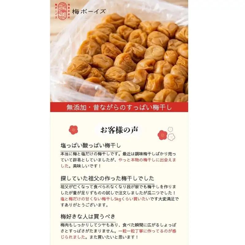 梅干し 1kg 塩分18％ミネラル豊かな天日塩だけで漬けた梅干し【umehkr005A】