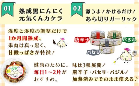 青森県産にんにく詰め合わせ【02402-0266】