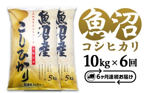 C2-7K106D【6ヶ月連続お届け】新潟県魚沼産コシヒカリ10kg（5kg×2袋）（長岡川口地域）