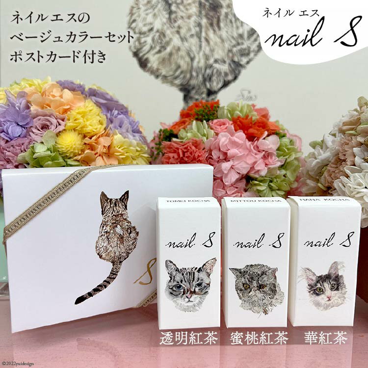 【ふるさと納税】レビューキャンペーン対象 化粧品 マニキュア「ネイルエス」紅茶セット｜シンセリティーコスメ 大阪府 守口市 [2013r]