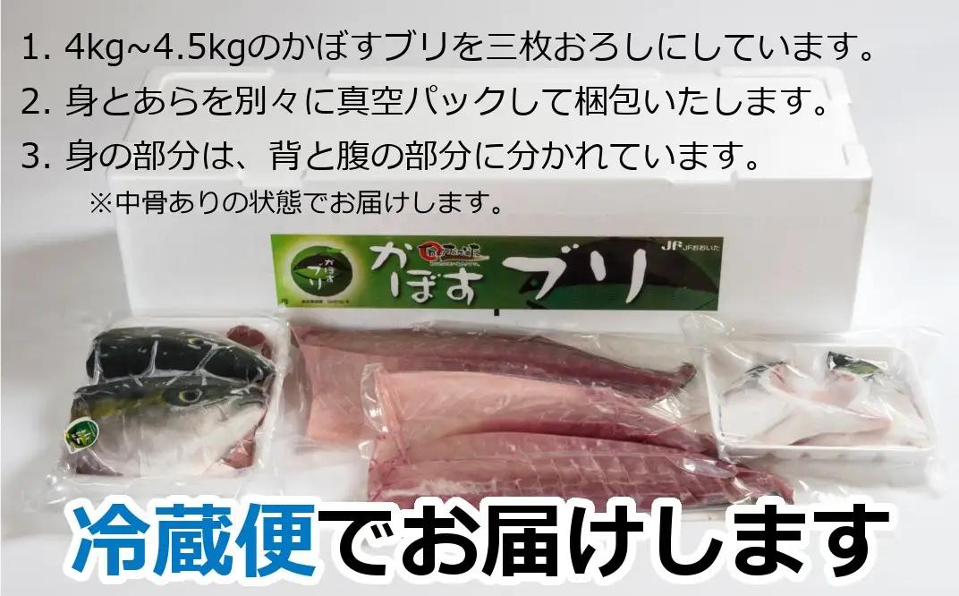 【先行予約】こんなブリ食べたことない！？「うすき産かぼすブリ」（1本）（約4kg弱）[冷蔵] 