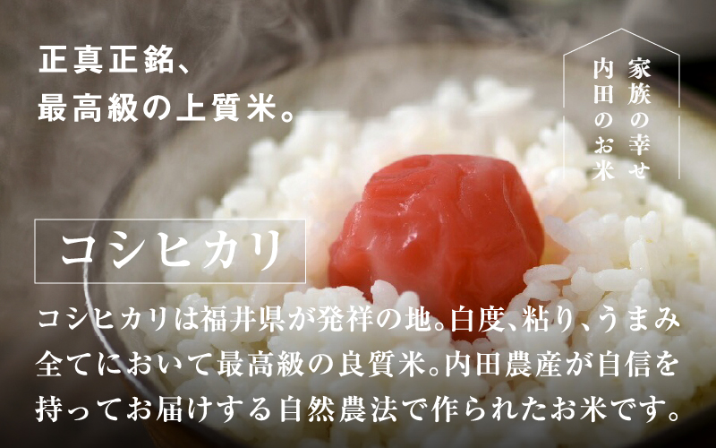 【令和7年産】福井県産 内農米 コシヒカリ 無洗米 5kg 内農米 コシヒカリ 無洗米 5kg