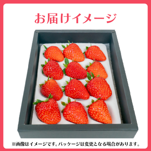 いちご 紅ほっぺ 4箱 計1.4kg | イチゴ べにほっぺ 苺