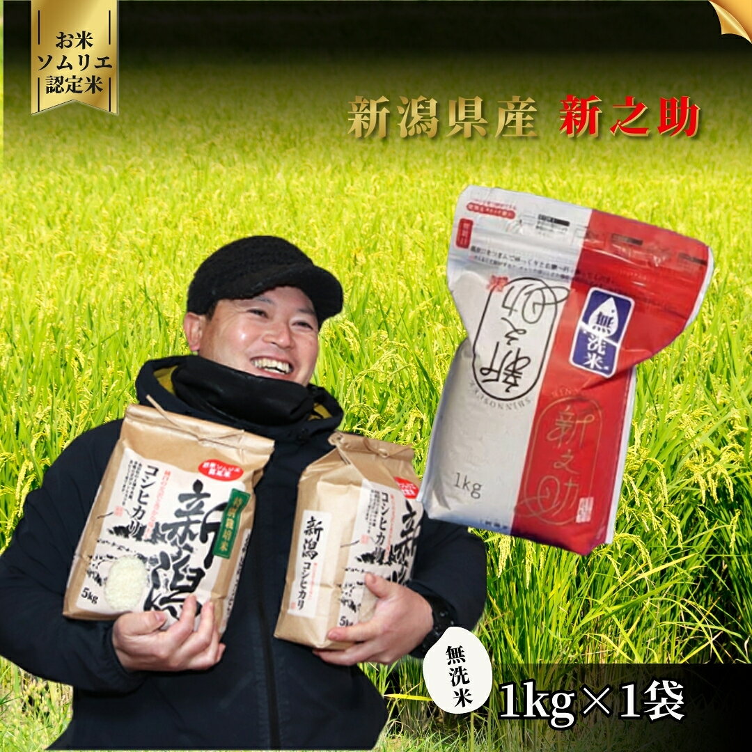 【ふるさと納税】【先行予約】令和8年産【お米ソムリエのお米】無洗米 新之助 1kg | 無洗米 コシヒカリ こしひかり 新之助 しんのすけ お米 おこめ コメ こめ 新潟県 五泉市 エバーグリーン農場