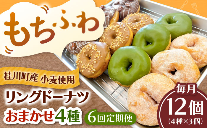 
                  【全6回定期便】ふわもちリングドーナツ おまかせ12個セット（4種類×3個） ▼ドーナツ ドーナッツ リングドーナツ 定期便 桂川町/Mio:Donut [ADBH052]
                