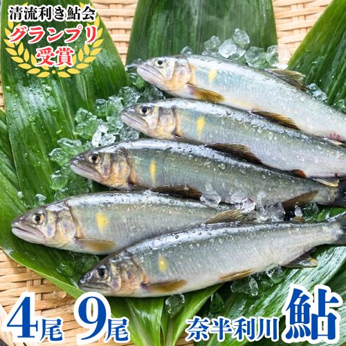 【ふるさと納税】奈半利川の友釣り天然アユ（冷凍） 【選べる】 （4尾 or 9尾) 利き鮎グランプリ受賞 釣り 鮎 あゆ 奈半利川 アウトドア 清流めぐり利き鮎会 SPグランプリ受賞 /高知県 奈半利町