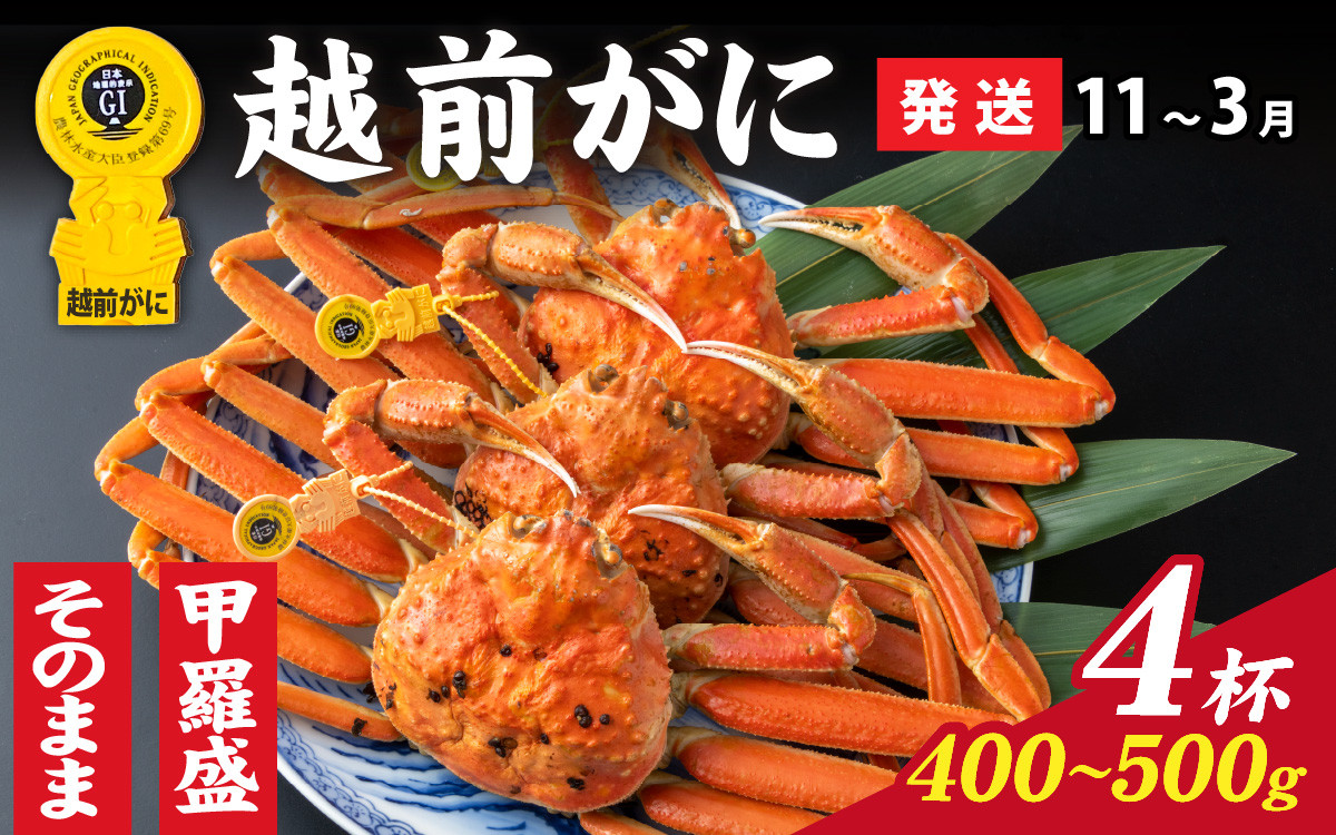 
            【先行予約】選べる！美味しさ直送【成前特選】 越前がに（400g～500g）×4杯【11月～3月発送】  [O-028067] / ズワイガニ 甲羅盛り 越前がに かに 蟹 楚蟹 越前かに 香箱がに こうばこがに 親ガニ甲羅蟹 甲羅がに 香箱蟹 姿 捌き 姿 甲羅盛
          