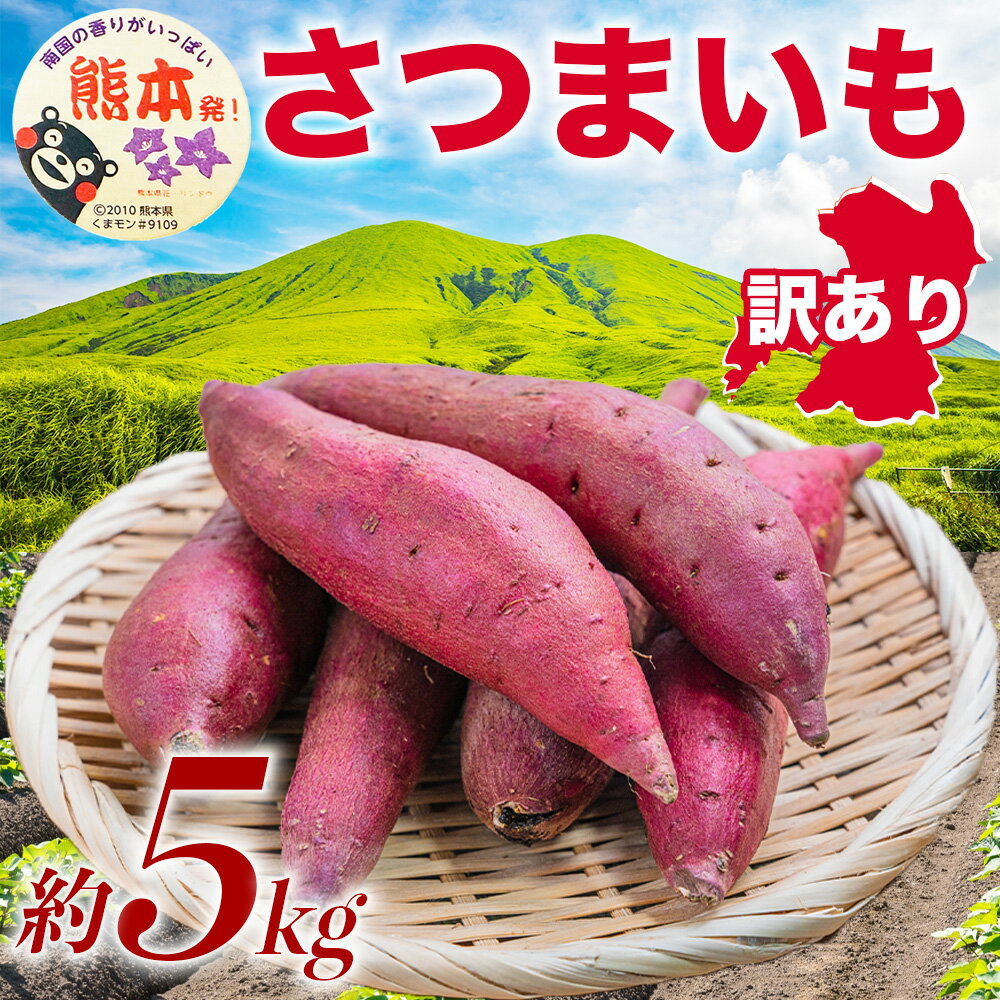 【ふるさと納税】訳あり さつまいも 約5kg サツマイモ さつま芋 野菜 やさい 焼き芋 熊本県産 国産 九州 熊本県 益城町 送料無料 【2026年10月上旬～11月下旬発送予定】