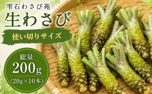栽培期間中 農薬 化学肥料 不使用 国産 わさび 使い切り 約 20g 10本 総量 200g 【雫石わさび苑】 野菜 やさい 香味野菜 山葵 ワサビ 生わさび 生ワサビ 生山葵 薬味 産地直送 日本産 新鮮 調味料 辛味 和食 料理 ２００g 200グラム プレゼント ギフト ご贈答 贈り物 おすすめ 冷蔵発送 お取り寄せ 仕送り 自宅用 家庭用