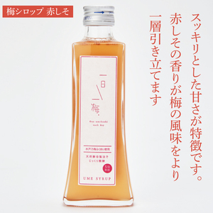 【数量限定】一日一梅 梅シロップ ２種類詰合せ ５倍希釈（200ml×各１本）（CU-4）