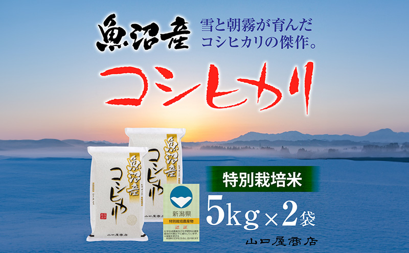 
            【厳選☆十日町育ち】“特別栽培米” 魚沼産コシヒカリ　5kg×2袋
          