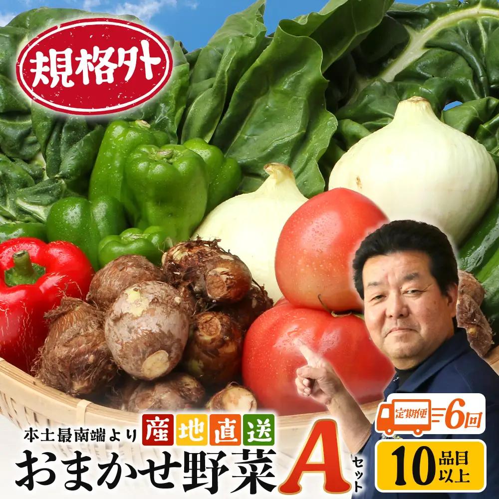 【定期便全6回】【規格外】本土最南端から 旬のおまかせ野菜セットA 10品目以上 NI-5 ｜ 旬 野菜 やさい 果物 くだもの 産地直送 農産物 冷蔵 鹿児島県 南大隅町産 詰合せ おまかせ 家庭用 訳あり なんたん市場