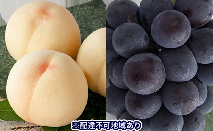 桃 ぶどう 2025年 先行予約 清水 白桃 5玉 約1.5kg 1玉約300g ニュー ピオーネ 1房 550g以上もも 葡萄 詰合せ 岡山 国産 フルーツ 果物 ギフト 桃茂実苑