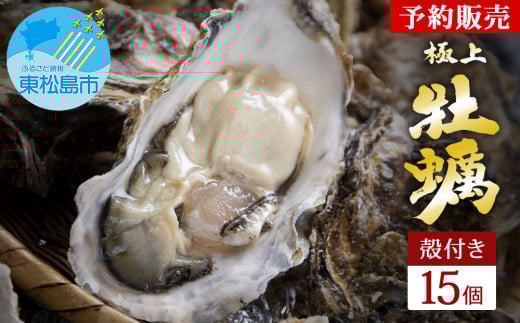 牡蠣 奥松島産 極上 殻付き 牡蠣 宮城県【2025年シーズン受付開始】11月中旬頃から順次発送予定 かき カキ 15個 加熱用 極上殻付き牡蠣