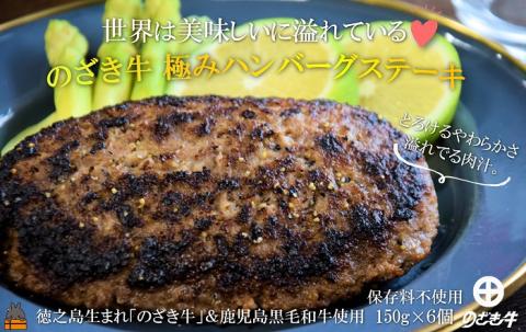 ～世界は美味しいに溢れている～徳之島生まれ「のざき牛」＆鹿児島黒毛和牛 極みハンバーグステーキギフト（150g×6個）( のざき牛 鹿児島黒毛和牛 日本一 肉汁 牛肉 冷凍 プレミアム 満足 人気 ）