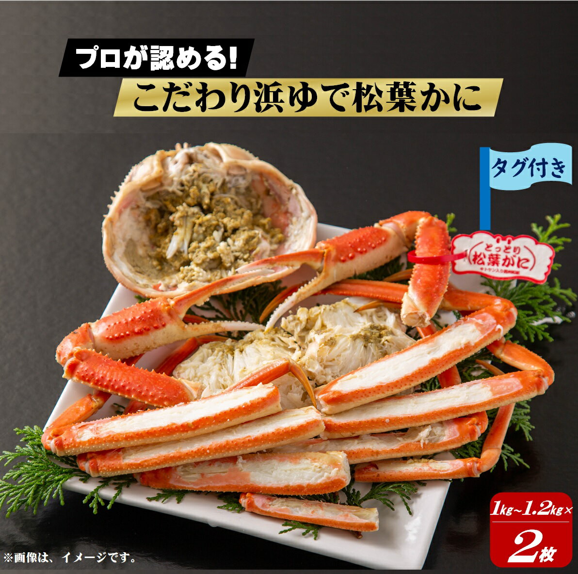 【ふるさと納税】先行予約 松葉がに プロが認めるこだわり浜ゆで松葉かに1.0kg〜1.2kg/1枚 ×2 冷蔵【11月15日〜2月末発送】（12/25～1/10配達不可）足立本店 松葉蟹 松葉ガ二 蟹 カニ かに 浜茹で ボイル済 海鮮 鳥取県 米子市 数量限定 タグ付き