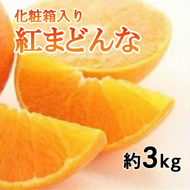 【ふるさと納税】 【先行予約】 紅まどんな 約3kg (L～4L) 化粧箱入り みかん 柑橘 ブランド まどんな 愛媛県 松山市